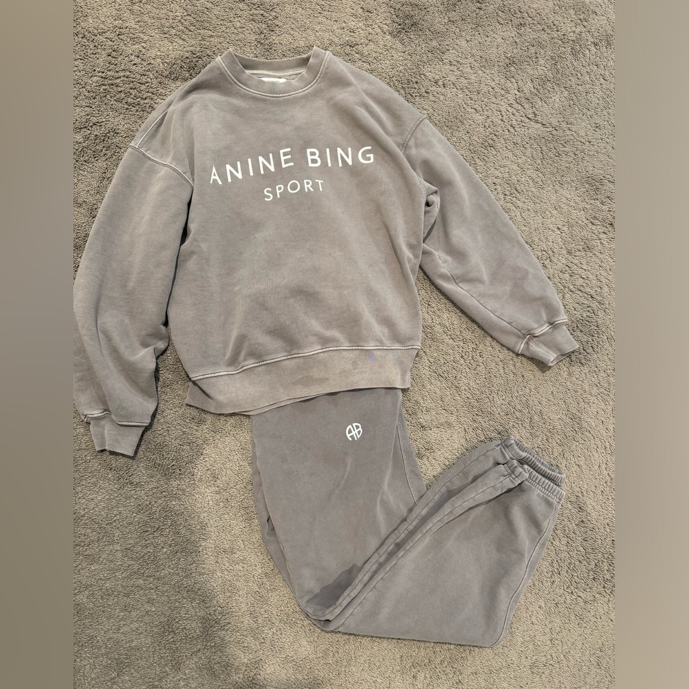 Anine Bing sweatsuit!